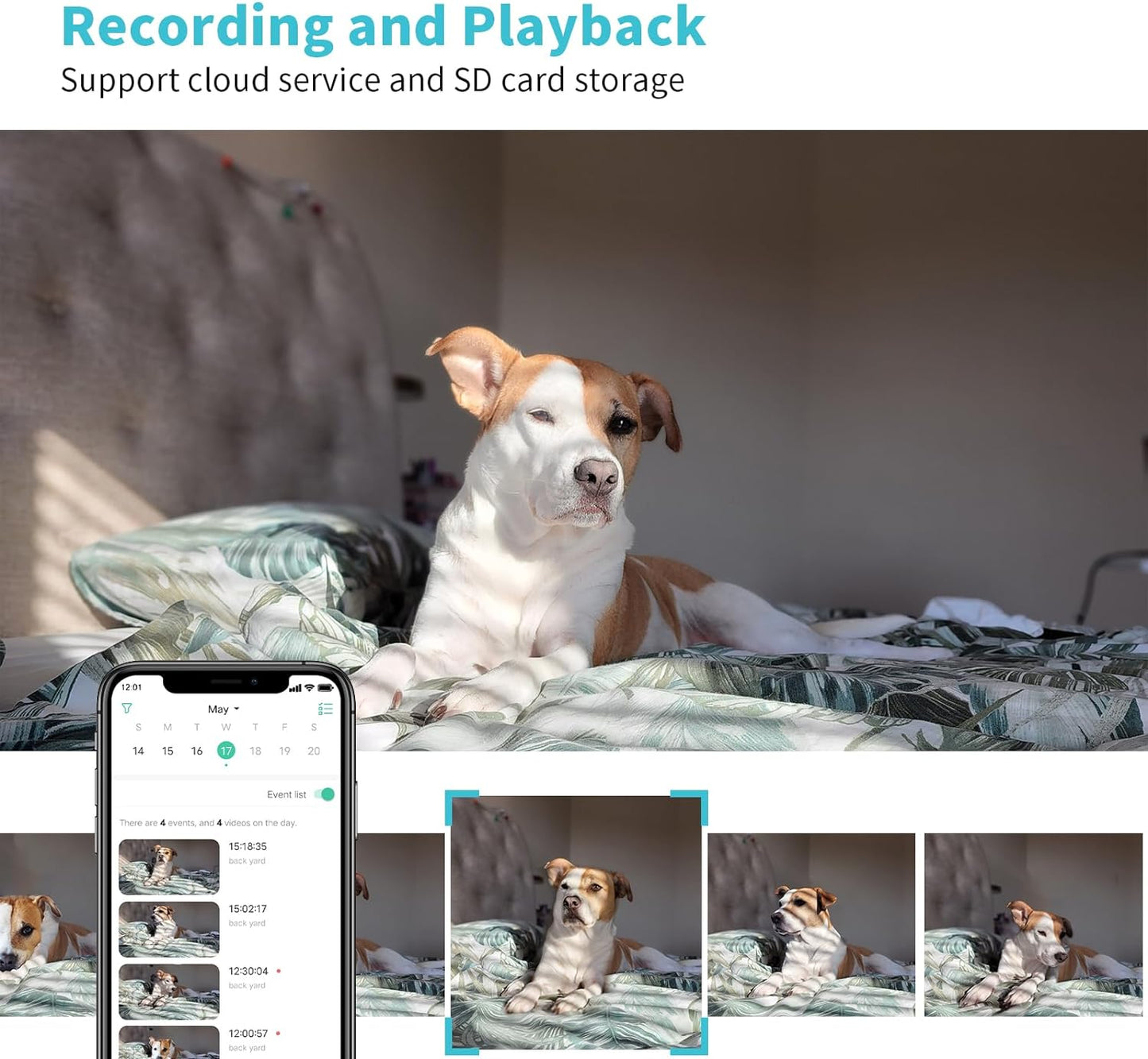 Pet Watcher HD: See & Talk to Your Pet