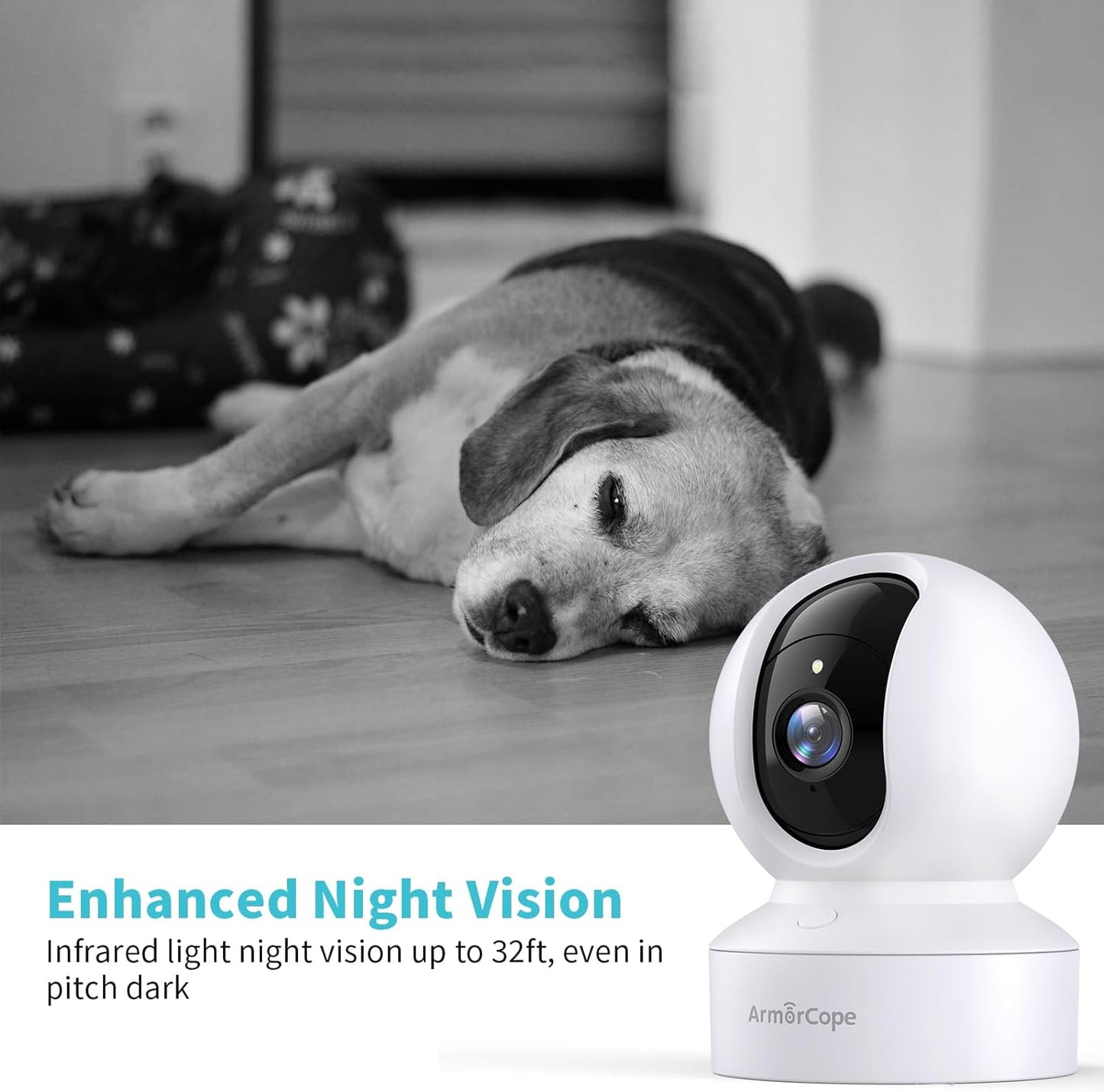 Pet Watcher HD: See & Talk to Your Pet