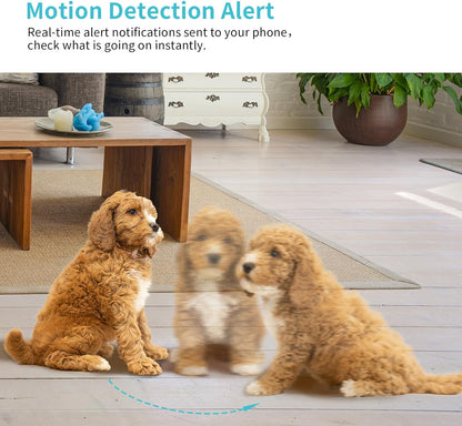 Pet Watcher HD: See & Talk to Your Pet